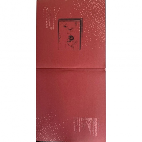 Polar Bear - Dim Lit (5060509792887) виниловая пластинка - фото 3