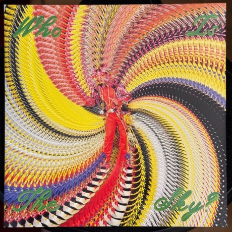 David Byrne - Who Is The Sky? (0191401217811) виниловая пластинк...