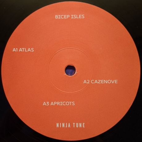 Bicep - Isles (5054429139204) виниловая пластинка - фото 3