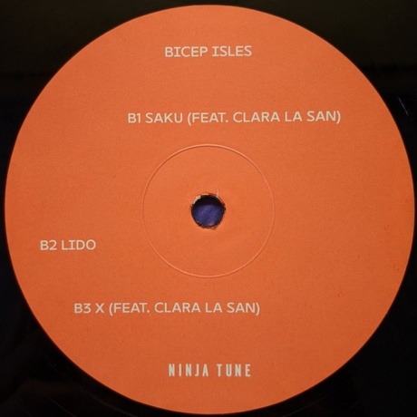 Bicep - Isles (5054429139204) виниловая пластинка - фото 4