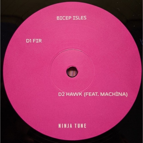 Bicep - Isles (5054429139204) виниловая пластинка - фото 6