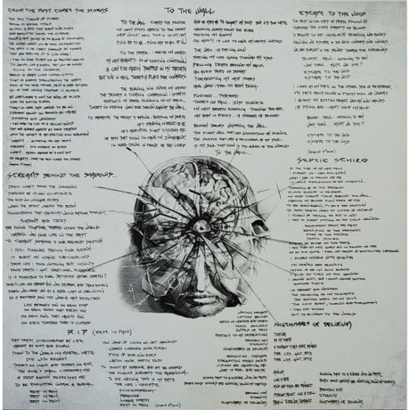 Cavalera Conspiracy - Schizophrenia (Curacao) (4065629724474) виниловая пластинка - фото 7