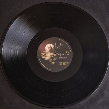 Paradise Lost - Ascension (4065629687915) виниловая пластинка - фото 5