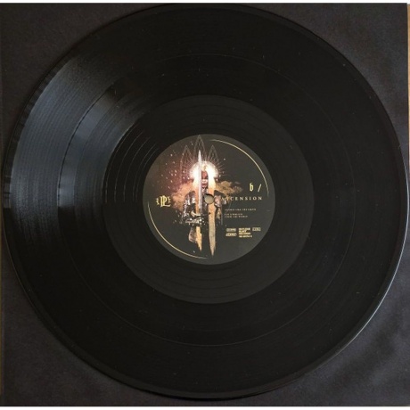 Paradise Lost - Ascension (4065629687915) виниловая пластинка - фото 6