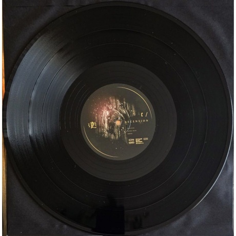 Paradise Lost - Ascension (4065629687915) виниловая пластинка - фото 7