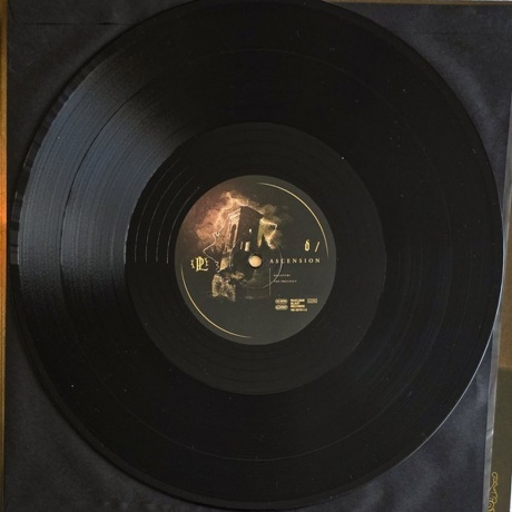 Paradise Lost - Ascension (4065629687915) виниловая пластинка - фото 8