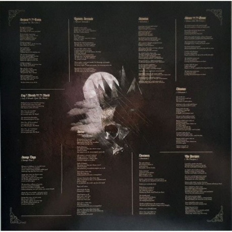 Paradise Lost - Ascension (4065629687915) виниловая пластинка - фото 10