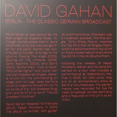 David Gahan - Berlin (0803341576537) виниловая пластинка - фото 4