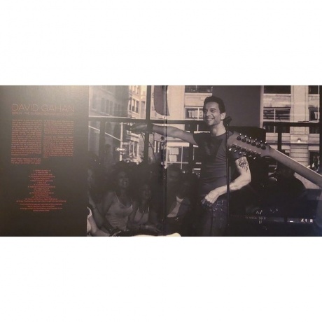 David Gahan - Berlin (0803341576537) виниловая пластинка - фото 6