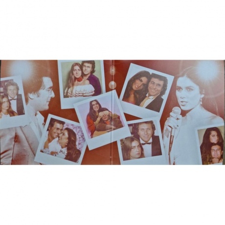 Al Bano &amp; Romina Power - Collection (0198029254112) виниловая пластинка - фото 2