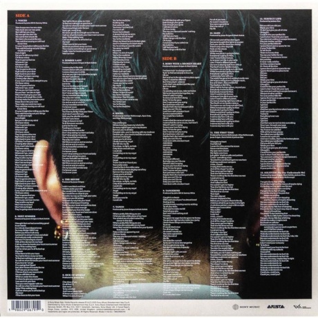 David Damiano - Funny Little Fears (0198029067910) виниловая пластинка - фото 2