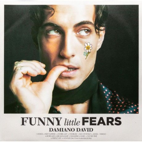 David Damiano - Funny Little Fears (0198029067910) виниловая пластинка - фото 3