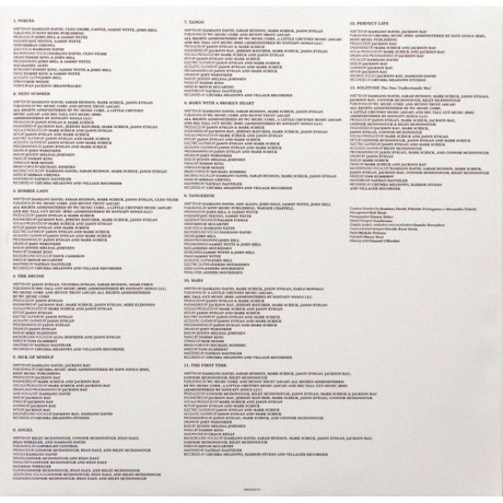 David Damiano - Funny Little Fears (0198029067910) виниловая пластинка - фото 4