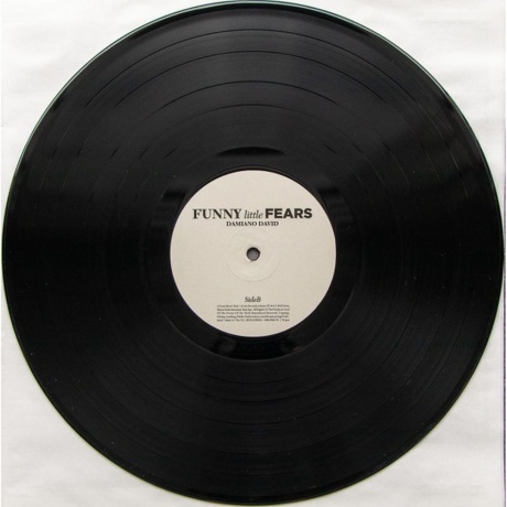 David Damiano - Funny Little Fears (0198029067910) виниловая пластинка - фото 6