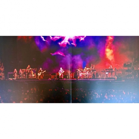 David Gilmour - Luck And Strange Concerts (0198029270112) виниловая пластинка - фото 15