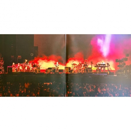 David Gilmour - Luck And Strange Concerts (0198029270112) виниловая пластинка - фото 16