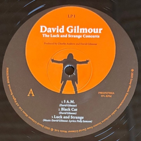 David Gilmour - Luck And Strange Concerts (0198029270112) виниловая пластинка - фото 3