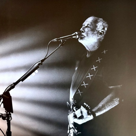 David Gilmour - Luck And Strange Concerts (0198029270112) виниловая пластинка - фото 22