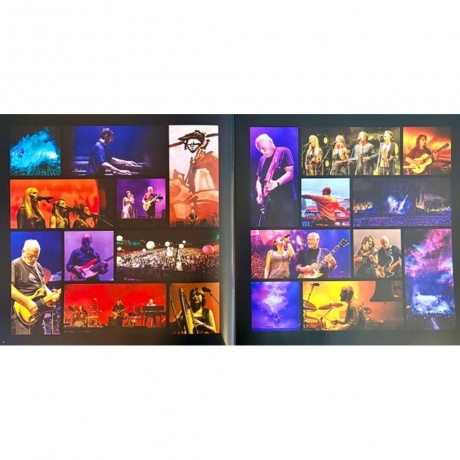 David Gilmour - Luck And Strange Concerts (0198029270112) виниловая пластинка - фото 24