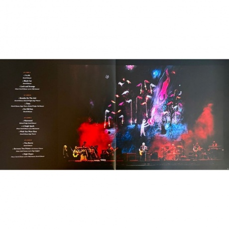 David Gilmour - Luck And Strange Concerts (0198029270112) виниловая пластинка - фото 26