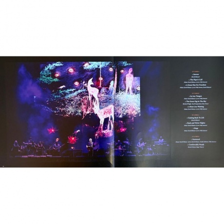 David Gilmour - Luck And Strange Concerts (0198029270112) виниловая пластинка - фото 27