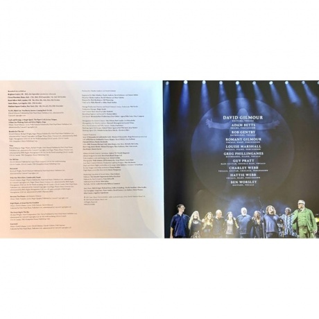 David Gilmour - Luck And Strange Concerts (0198029270112) виниловая пластинка - фото 30