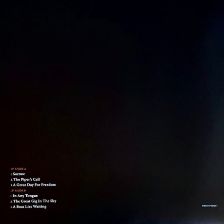 David Gilmour - Luck And Strange Concerts (0198029270112) виниловая пластинка - фото 32