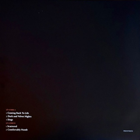 David Gilmour - Luck And Strange Concerts (0198029270112) виниловая пластинка - фото 33