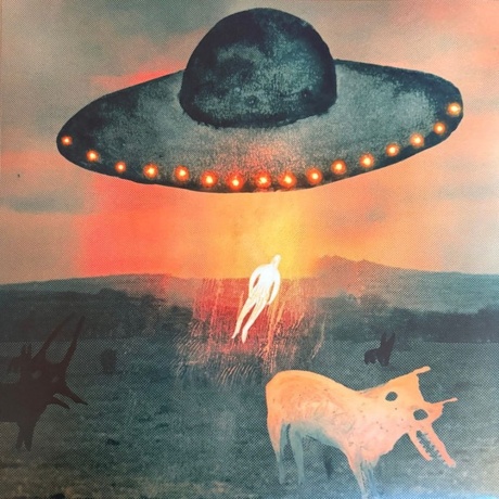 David Gilmour - Luck And Strange Concerts (0198029270112) виниловая пластинка - фото 34