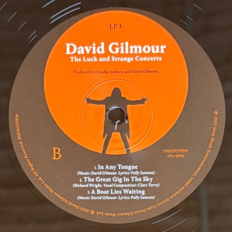 David Gilmour - Luck And Strange Concerts (0198029270112) виниловая пластинка - фото 8