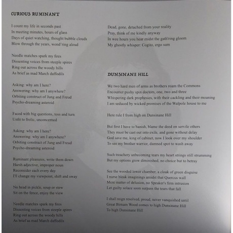 Jethro Tull - Curious Ruminant (0198028795913) виниловая пластинка - фото 11