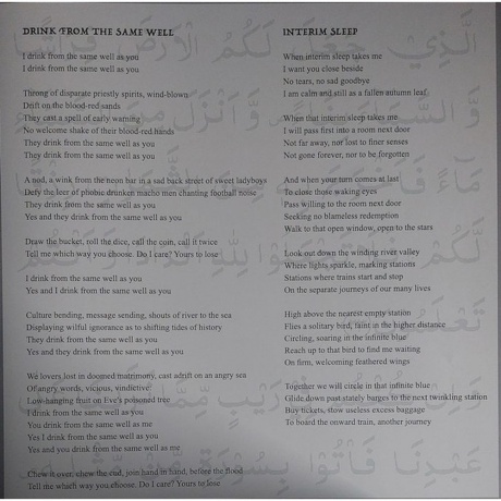 Jethro Tull - Curious Ruminant (0198028795913) виниловая пластинка - фото 14