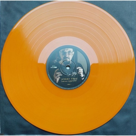 Jethro Tull - Curious Ruminant (0198028795913) виниловая пластинка - фото 4