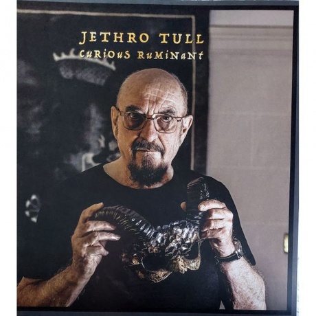 Jethro Tull - Curious Ruminant (0198028795913) виниловая пластинка - фото 8