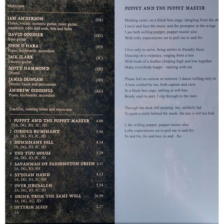 Jethro Tull - Curious Ruminant (0198028795913) виниловая пластинка - фото 10