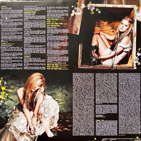 Avril Lavigne - Goodbye Lullabye (White) (0198028032513) виниловая пластинка - фото 10