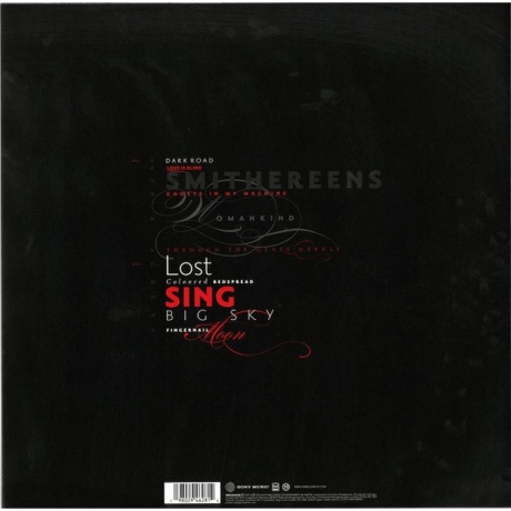 Annie Lennox - Songs Of Mass Destruction (0198029462814) виниловая пластинка - фото 2