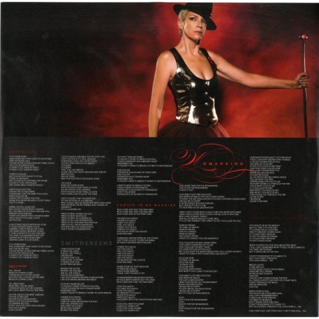 Annie Lennox - Songs Of Mass Destruction (0198029462814) виниловая пластинка - фото 3