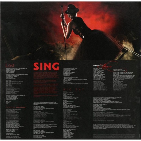 Annie Lennox - Songs Of Mass Destruction (0198029462814) виниловая пластинка - фото 5