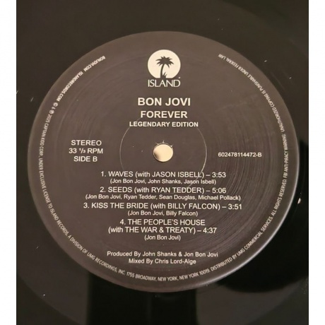 Bon Jovi - Forever (Legendary Edition) (0602478114472) виниловая пластинка - фото 11