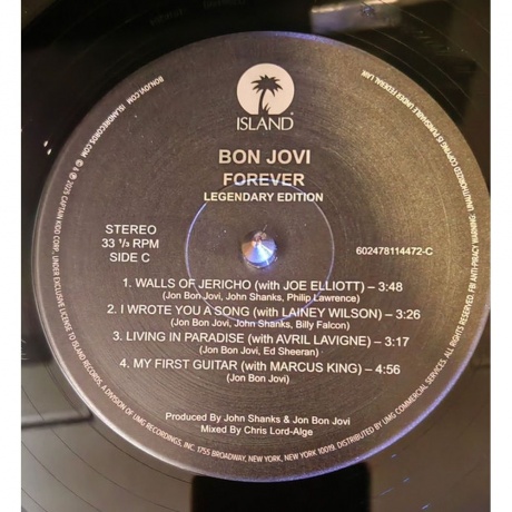 Bon Jovi - Forever (Legendary Edition) (0602478114472) виниловая пластинка - фото 12