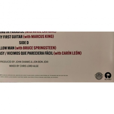 Bon Jovi - Forever (Legendary Edition) (0602478114472) виниловая пластинка - фото 5