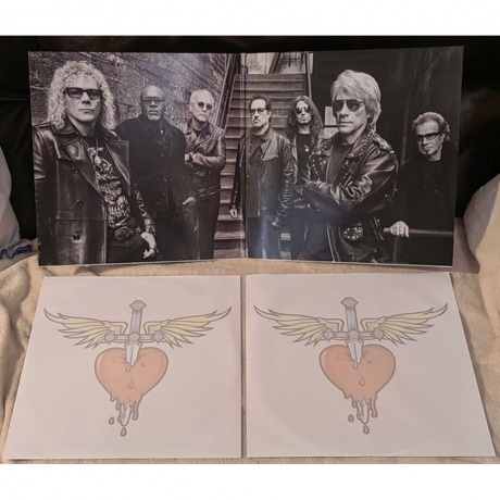 Bon Jovi - Forever (Legendary Edition) (0602478114472) виниловая пластинка - фото 8