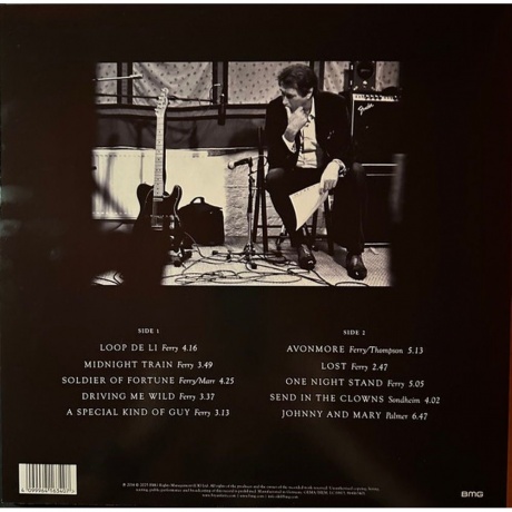 Bryan Ferry - Avonmore (Red) (4099964163407) виниловая пластинка - фото 2