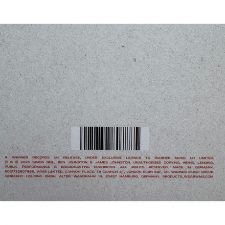 Biffy Clyro - Futique (White &amp; Black Marbled) (5021732807885) виниловая пластинка - фото 7