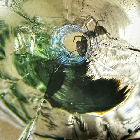 Dream Theater - Systematic Chaos (Clear) (0081227810702) виниловая пластинка - фото 19