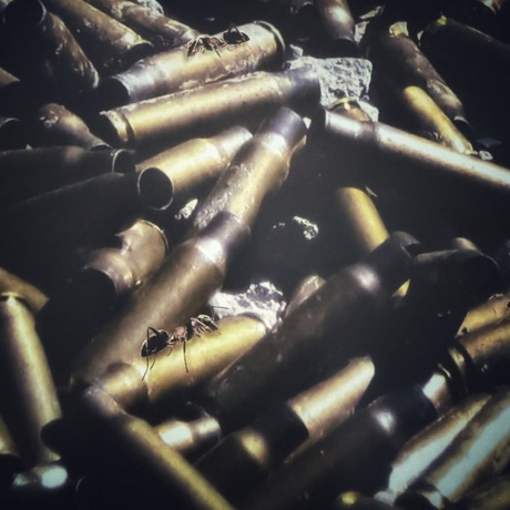 Dream Theater - Systematic Chaos (Clear) (0081227810702) виниловая пластинка - фото 21