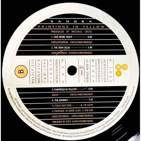 Sandra - Paintings In Yellow (4409514302727) виниловая пластинка - фото 4