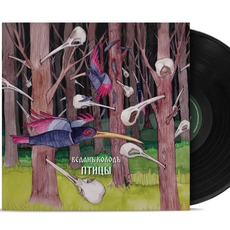 Веданъ Колодъ - Птицы (4630356100404) виниловая пластинка - фото 1