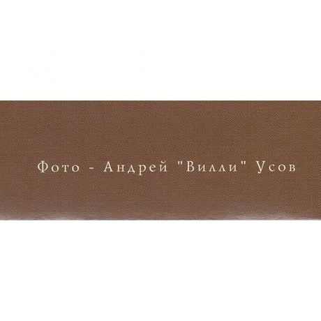 Аквариум - Пески Петербурга (4640004135733) виниловая пластинка - фото 11